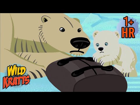 Rescuing the Polar Bear | Animals of the Cold | Adventures with The Kratts | 9 Story Kids
