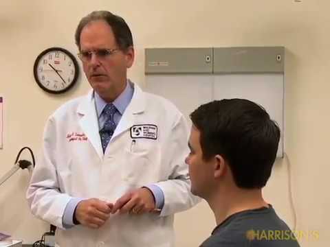 MENTAL STATUS EXAMINATION