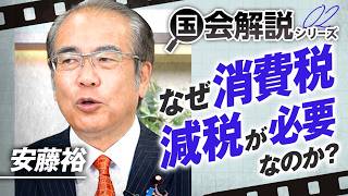 教えて！国会解説 なぜ消費税減税が必要なのか？参政党が国民会議に呼ばれない理由とは？安藤裕 【赤坂ニュース419】