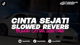 Download lagu DJ CINTA SEJATI - BUNGA CINTA LESTARI (BOOTLEG SLOWED REVERB) imamsidik remix 2025!! mp3