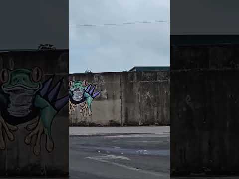 Un poquito de Cañas! 🥰 #costarica #vlog #guanacaste