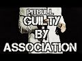 Pitbull Guilty By Association (Official Music Video)