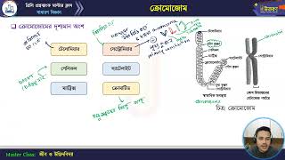 মাস্টার ক্লাস-২৩