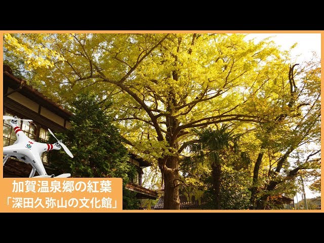 加賀温泉郷の紅葉 加賀市大聖寺 「深田久弥山の文化館」