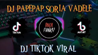 Download lagu DJ PAPEPAP SORIA VADELE || DJ YANG LAGI VIRAL DI TIKTOK 2021🎶🎶😎 mp3