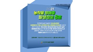 2021 농작물 병해충 발생정보 8호 발표