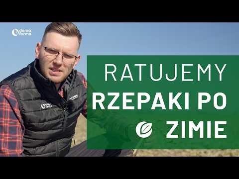 Film na temat: { video.title }}