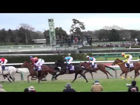 2015 有馬記念 ゴールドアクター Arima Memorial Gold Actor