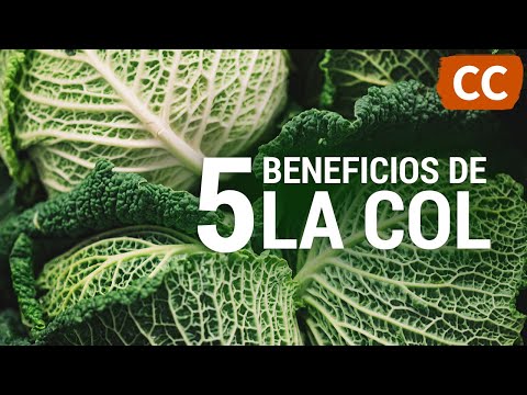, title : '5 Beneficios de la Col | Ciencia de la Comida'