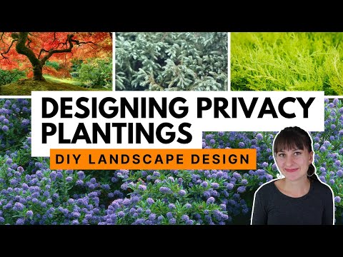 How to select privacy plants to design a natural screen 🪴 Private backyard landscape design