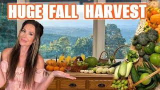 HARVESTING PUMPKINS FROM OUR PUMPKIN PATCH | CHANNON ROSE VLOGS