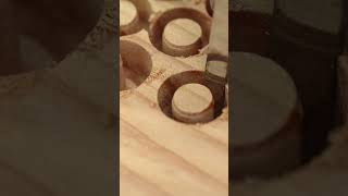 Wood plugs for screw holes