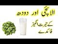 Doodh Elaichi Ke Fayde Warm Milk With Cardamom Benefits In Urdu