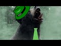 Yogi The Cocaine Bear