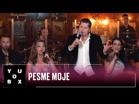 Orkestar Aleksandra Sofronijevića feat. Aco Pejović - PESME MOJE / YouBox