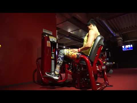 Inner Thigh HOIST - DynaMaxX