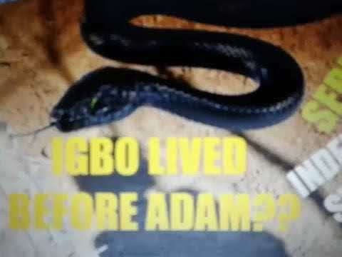 Igbo People Are The 2ND SYNAGOGUE OF SATAN, REV;ELATION;;;2;;9;;3;;9..