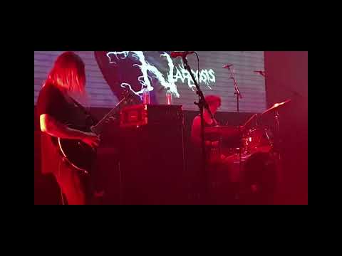 WORLD NARCOSIS -  Live in Iceland in June 2025