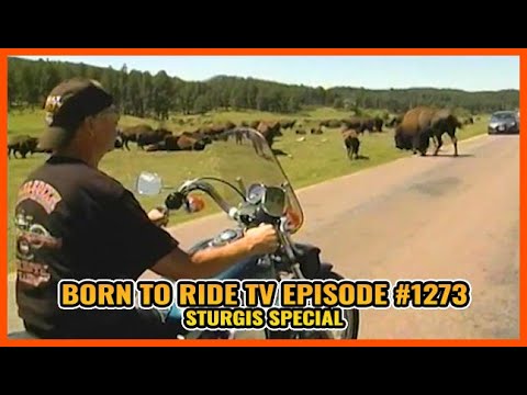 FULL SHOW Born To Ride TV Episode #1273 - Sturgis Special
