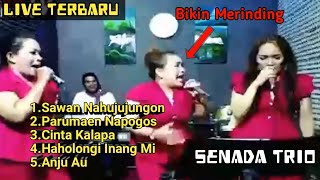Download lagu SENADA TRIO Bikin Merinding Sumpah!!! Tonton Sampai Habis mp3