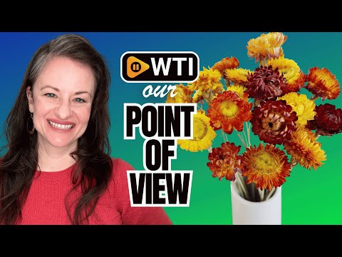 Dried Flowers Bouquet Natural Daisy - 40 PCS Multicolor Daisies Dried Sunflowers - WTI product video review