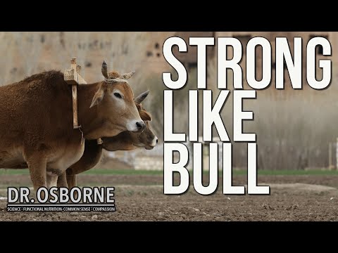 Taurine: The Essential Amino Acid You Need to Know | Health Benefits & Deficiency Risks