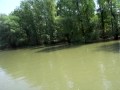 Delta Du Danube2