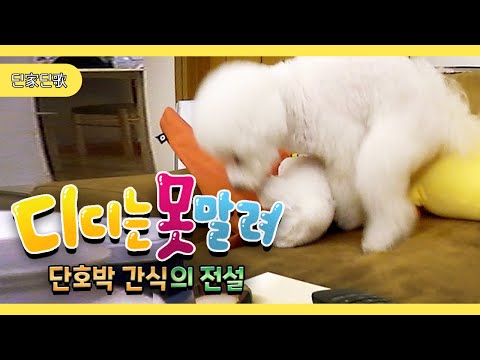 디디는 단단?! 군침이 싹~도는 판례여사표 강아지 간식 만들기 [딘딘 - 딘가딘가] (ENG CC)