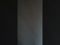Backyardigans Big Back Yard Dvd