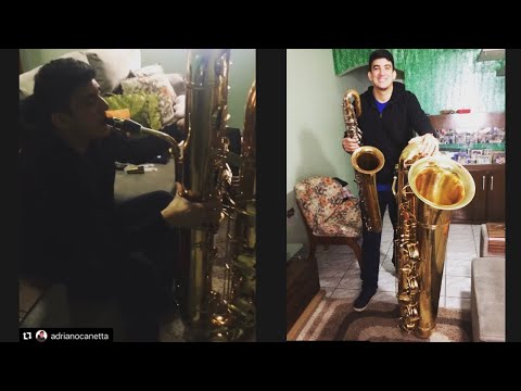 Groove com um Saxofone Contrabaixo #saxofone