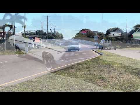 1969 Chevrolet Chevelle (CC-2040049) for sale in Largo, Florida