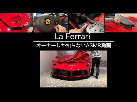 ラフェラーリ　オーナーしか知らない動作音だけの動画