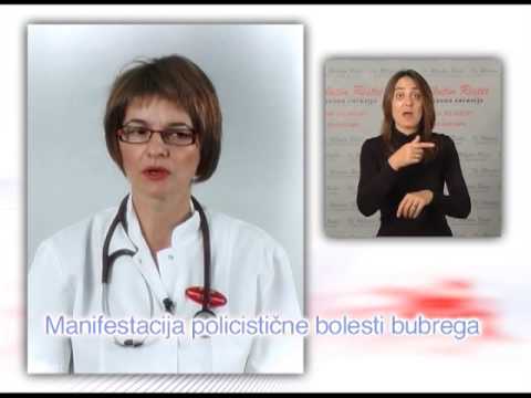 Liječenje bubrega