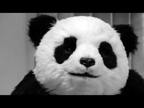 Ser Panda