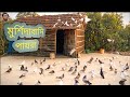 আপেল ভায়ের পায়রা Part 2 হাসনাবাদ মুর্শ�