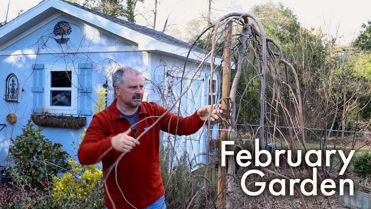 The Busiest Gardening Month? - February Garden Checklist