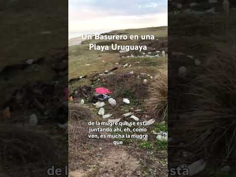 🚨🌊 Esto está pasando en Oceanía del Polonio, Uruguay