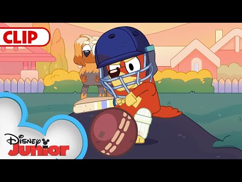 Bluey Season 3 "Cricket" Episode Clip | @disneyjr