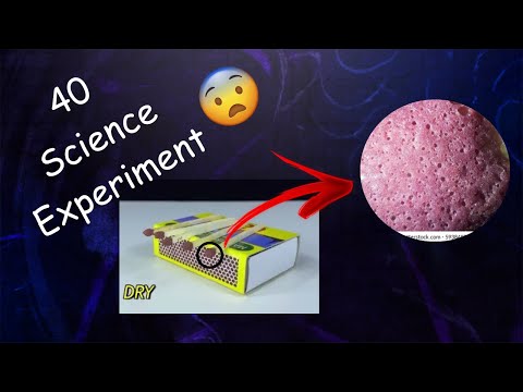 40 Amazing Science Experiments You Can Try at Home! 🧪⚡