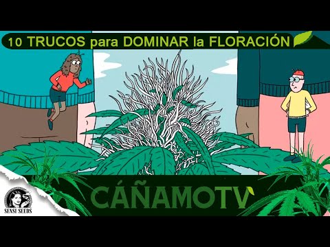 10 TRUCOS para DOMINAR la fase de FLORACIÓN  🌷🌼🌸🏵
