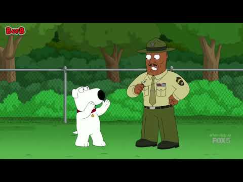 Jamaican Family Guy - Brian On Pills 💊 -2022