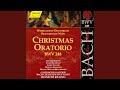 Christmas Oratorio, BWV 248, Pt. 1: Aria: Nun mogt ihr stolzen Feinde schrecken (Tenor)