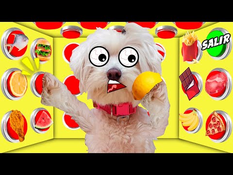 100 BOTONES de COMIDA y tan solo UNO PARA SALIR con Mi Perro Dasha y mi nuevo CACHORRO!