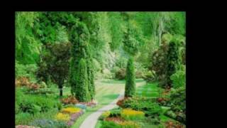 Elvis Presley~In The Garden