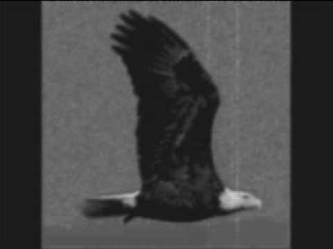 Ah Ahilej / Kiza Radovic - Umorna nebesa - Savana