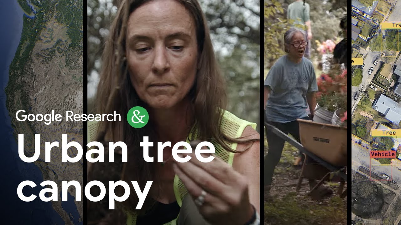 Using AI to dentify urban heat islands