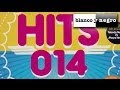 Blanco y Negro Hits 014 (Official Medley) 