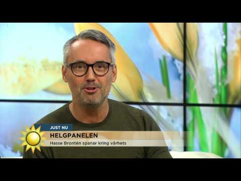 Helgpanelen om vårhetsen! - Nyhetsmorgon (TV4)