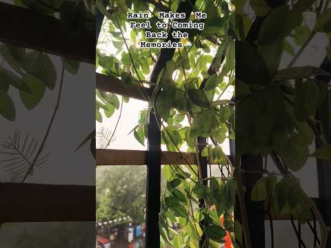 Favourite Memory - Rain Clouds