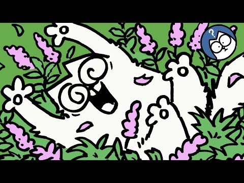 Simon's Cat Year in COLOUR | New Episodes | Simon's Cat Extra